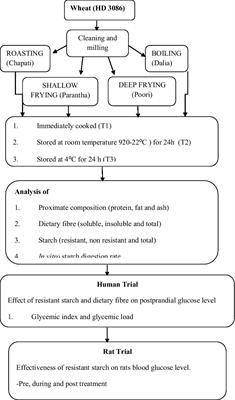 Effect of cooking and storage temperature on resistant starch in commonly consumed Indian wheat products and its effect upon blood glucose level